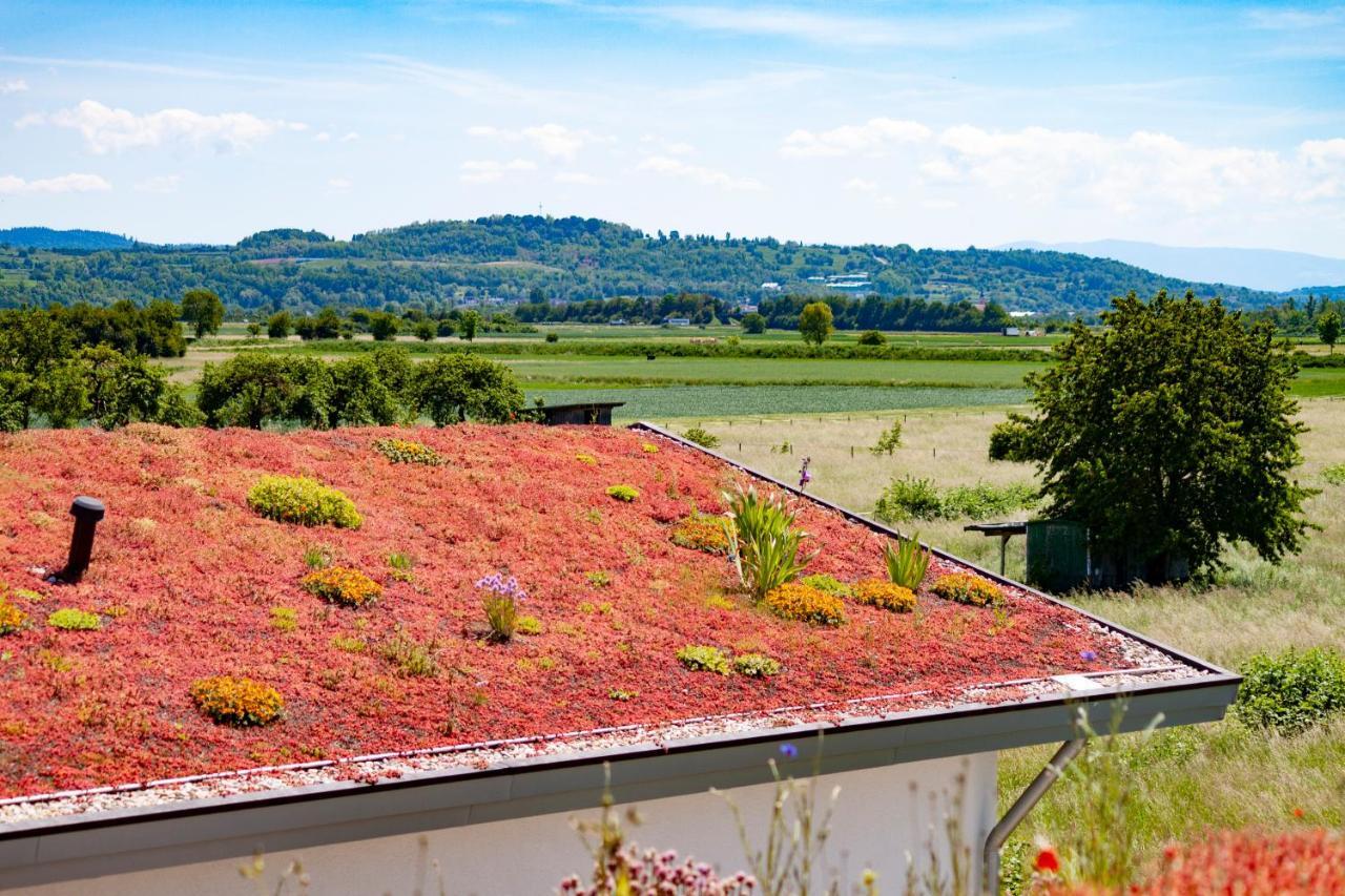 Appartement Lavate à Kappel-Grafenhausen Extérieur photo